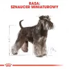 Ração seca para cães Royal Canin Miniature Schnauzer Adult, aves, 3 kg, para raças pequenas