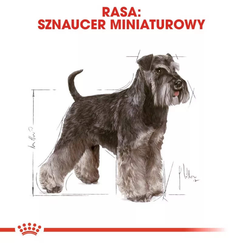 Ração seca para cães Royal Canin Miniature Schnauzer Adult, aves, 3 kg, para raças pequenas