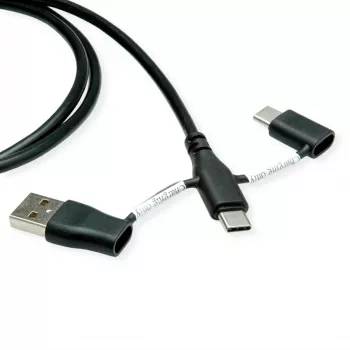 Cabo USB 2.0 ROLINE Type-C macho/macho com adaptadores de bloqueio de dados A e C - cabo - digital/dados