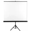 Tela de projeção Avtek Tripod Standart 175 1:1