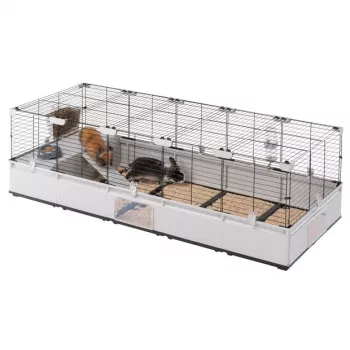 FERPLAST Modular 4 – Gaiola para coelhos e porquinhos-da-índia – 179 x 72 x 56 cm