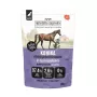 Wiejska Zagroda Monoprotein carne de cavalo comida húmida para cães, 500 g