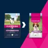 Alimento seco para cães EUKANUBA Puppy & Junior Small/Medium Lamb & Rice 3 kg — alimento completo para cães jovens de raças pequenas e médias