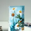 Papel fotográfico Kodak Ultra Premium 280g brilhante 10 x 15 cm 60 folhas
