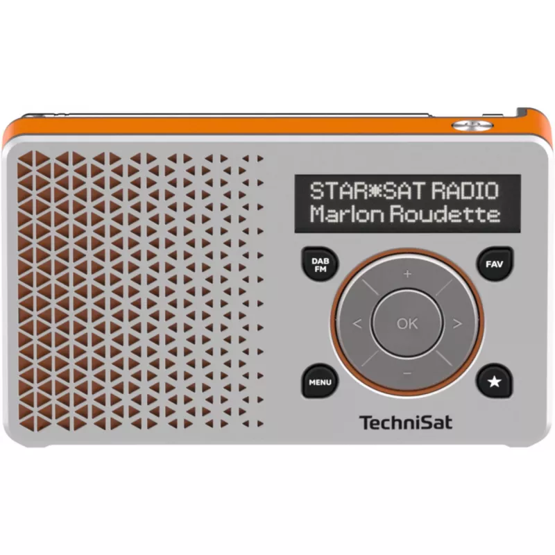 Technisat 0003/4997 prateado