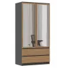 Topeshop SZAFA MALWA AN/AR L roupeiro de quarto 5 prateleiras 2 porta(s)