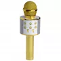 Microfone Denver KMS-20GMK2 dourado