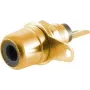 Conector fêmea Cinch (RCA) ShiverPeaks 52091-S dourado preto — ligação de áudio