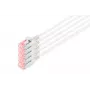 Digitus DK-1624-100S-5 Cabo de patch Slim CAT 6 U/FTP, 10 m, cinzento, pack de 5