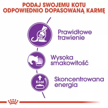 Ração seca para gatos Royal Canin Sensible 33 4 kg – gatos adultos, aves e arroz, proteína 33%, gordura 22%