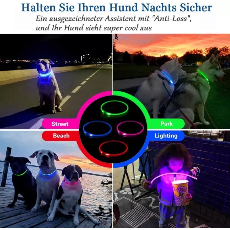 Coleira LED KABB azul para cães e gatos – recarregável, coleira de segurança ajustável com iluminação