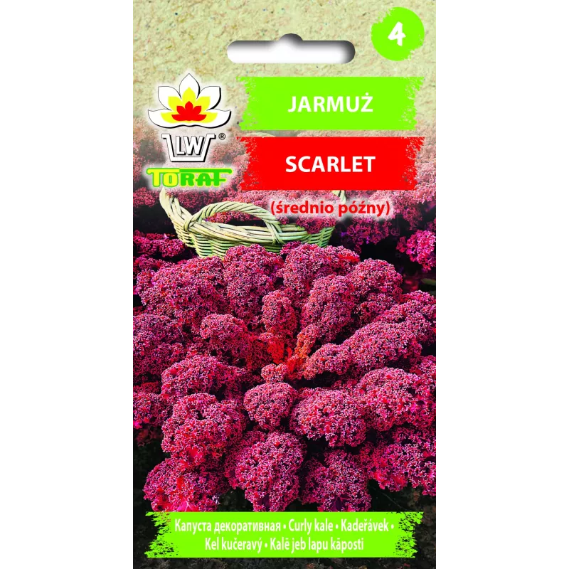 Sementes de couve-galega Scarlet Toraf, embalagem de 1 g