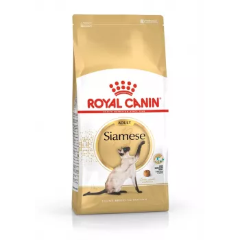Ração seca para gatos Royal Canin Siamese 2 kg — gatos adultos, aves, proteína 38%, gordura 16%