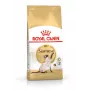 Royal Canin Siamese Adult ração seca para gatos, 2 kg