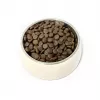 PUPIL Premium Insetos - Alimento seco para cães - 12 kg