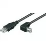 Wentronic Goobay Cabo USB 2.0 Hi-Speed, Preto, 5 m - ficha USB 2.0 (Type-A) > ficha USB 2.0 (Type-B) (95118)