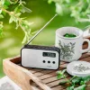 Adler AD 1907 rádio digital PLL, AM/FM, 40 estações pré-definidas, alarme com soneca, USB-C, bateria recarregável integrada, ficha de 3,5 mm, branco/preto