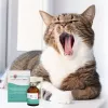 Spray oral JM Sante Vet Protector 30 ml para cães e gatos, líquido, sem conservantes, sem açúcar