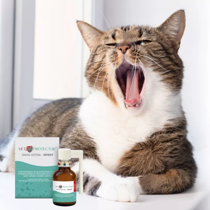 Spray oral JM Sante Vet Protector 30 ml para cães e gatos, líquido, sem conservantes, sem açúcar