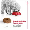 ROYAL CANIN Mini Ageing Adult +12 - Ração seca para cães - 3,5 kg