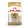 ROYAL CANIN Jack Russell Adult ração seca para cães - 1,5 kg