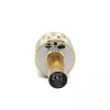 Microfone MANTA MIC10-G dourado cardioide portátil — condensador cardioide, design de mão