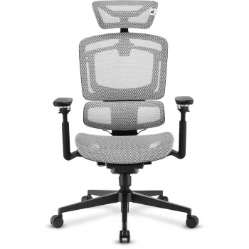 Cadeira de escritório Sharkoon OfficePal C50M — assento acolchoado, encosto em rede, preta, encosto 49 × 63 cm, largura do assento 50 cm