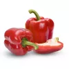 PNOS pimento Jolanta sementes de hortícolas, 0,5 g