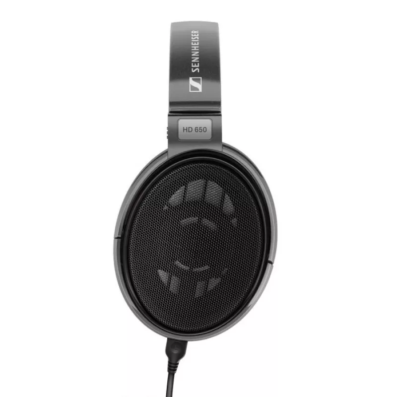 Auscultadores com cabo Sennheiser HD 650