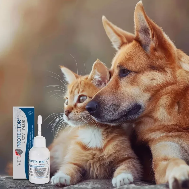 Solução auricular JM Sante Vet Protector Uszy Plus 50 ml — cuidados auriculares para cães e gatos adultos, frasco de plástico