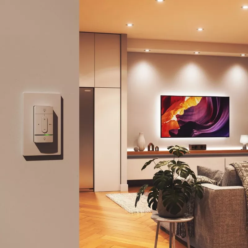 Interruptor sem fios inteligente Nanoleaf N4400C02-1BUT — alimentado por pilha, controlo personalizável para luzes e dispositivos inteligentes