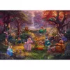 Thomas Kinkade Studios: Disney - Robin Hood, puzzle 1000 peças