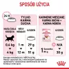 Royal Canin Kitten comida seca para gatos 10 kg