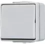 JUNG 607 W - botão - com fios - cinzento - duroplasto - 250 V - 10 A