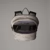 Mochila urbana The North Face Borealis Classic - stone slab/TNF Black