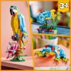 Conjunto de Construção LEGO Papagaio Exótico 31136 — Modelo de Exposição Creator, 253 Peças, 220×120×110 mm