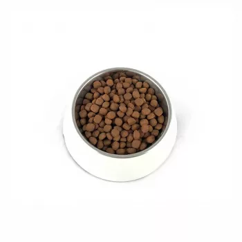 PUPIL Premium Light&Senior Raças Médias e Grandes Rico em Peru e Arroz - Alimento seco para cães - 12 kg