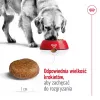 Royal Canin Maxi Adult 5+ ração seca para cães, 15 kg