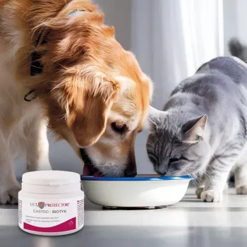 Suplemento alimentar JM Sante Multibiotic Vet Protector Gastro para cães e gatos, 60 g – suporte probiótico para animais adultos