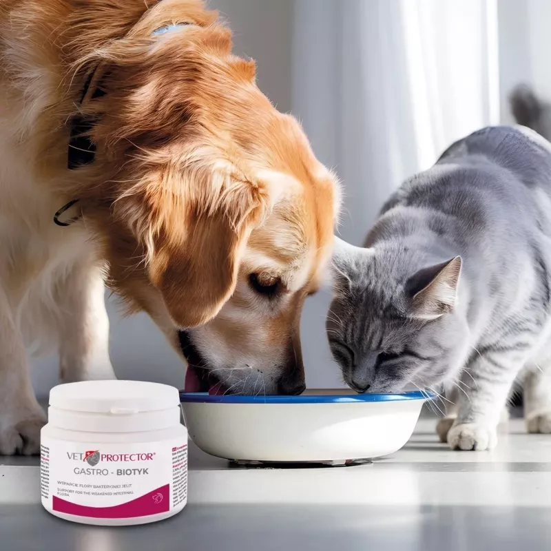 Suplemento alimentar JM Sante Multibiotic Vet Protector Gastro para cães e gatos, 60 g – suporte probiótico para animais adultos