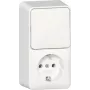 Tomada SCHUKO GIRA 417613 combinação interruptor vertical saliente RW (417613)