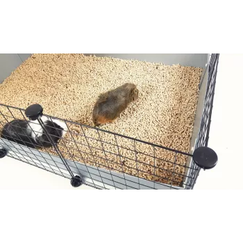 Gaiola modular C&C para pequenos animais de um andar 3x2 com sótão e rampa