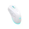 Rato Baracuda BGM-122 Turtle branco TURTLE-W