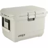 Arca frigorífica Coleman Pro 45 QT branca polietileno de alta densidade 43L