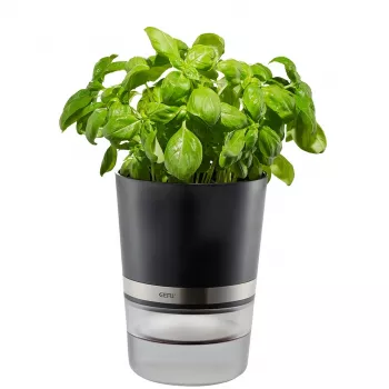 Vaso de ervas GEFU BOTANICO autónomo plástico, aço inoxidável preto