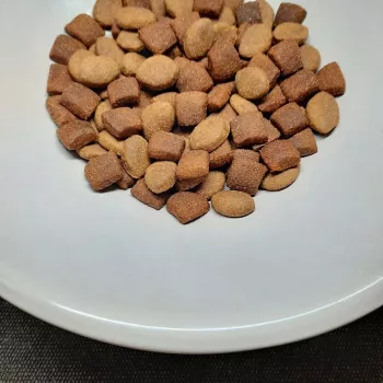PUPIL Prime Mini Rico em Aves com Vitela - Alimento seco para cães - 10 kg