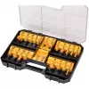 Conjunto de bits DeWALT DT90017-QZ 22 unid.
