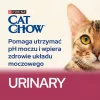 Purina Cat Chow Special Care Urinary Tract Health - Alimento seco para gatos 15 kg adulto frango