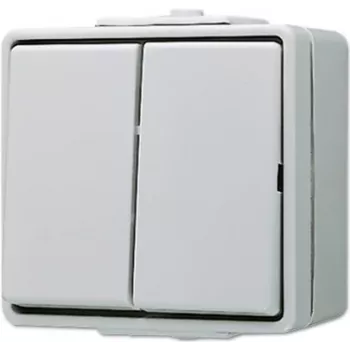 JUNG 605 W - interruptor de pressão - 2P - com fios - cinzento - duroplástico - 250 V