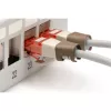 Digitus A-CC-BR Cabo de patch Ethernet